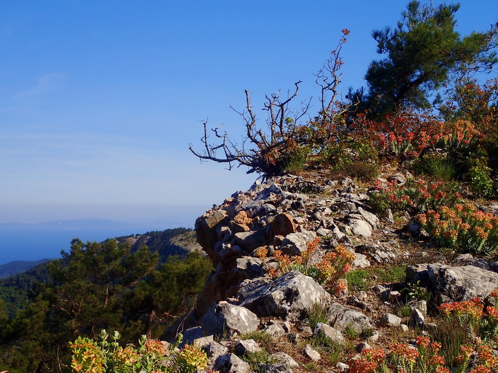 Falling in Love with Lesvos- One Perfect Day