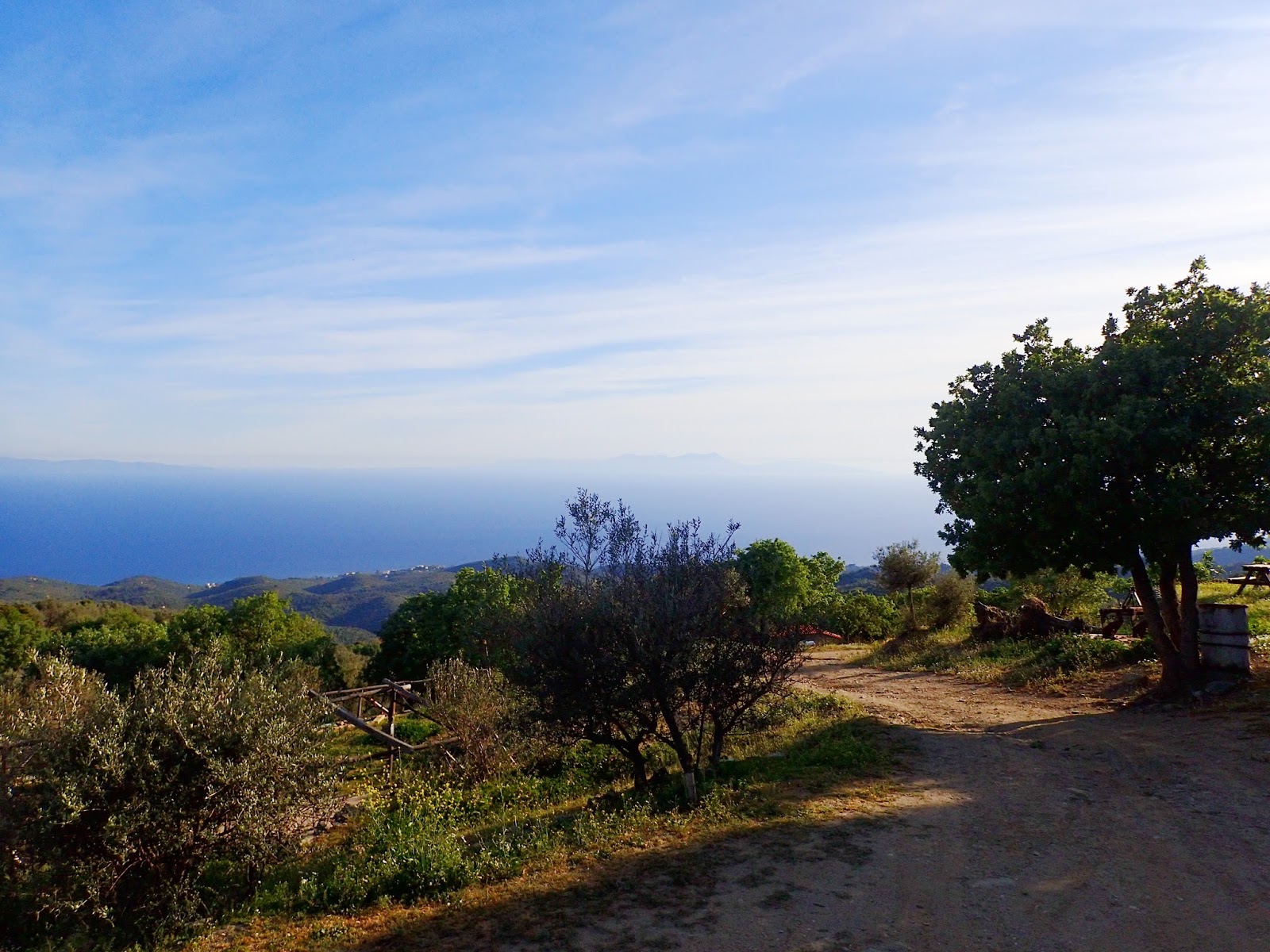 Falling in Love with Lesvos- One Perfect Day