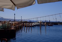 The Ouzo of Lesvos I: Essentials The Ouzo of Lesvos I: Essentials