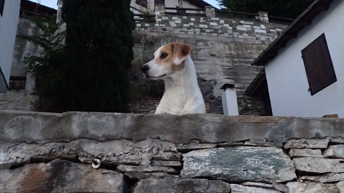 Villages of Pelion