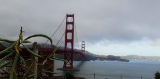 Walking Across the Golden Gate Bridge