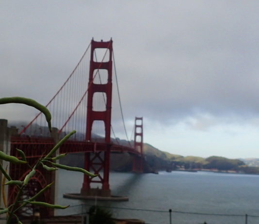 Walking Across the Golden Gate Bridge