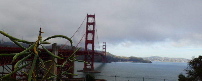 Walking Across the Golden Gate Bridge