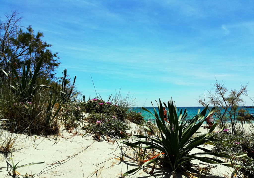 Chania - The silvery white sand dunes of Elafonissi