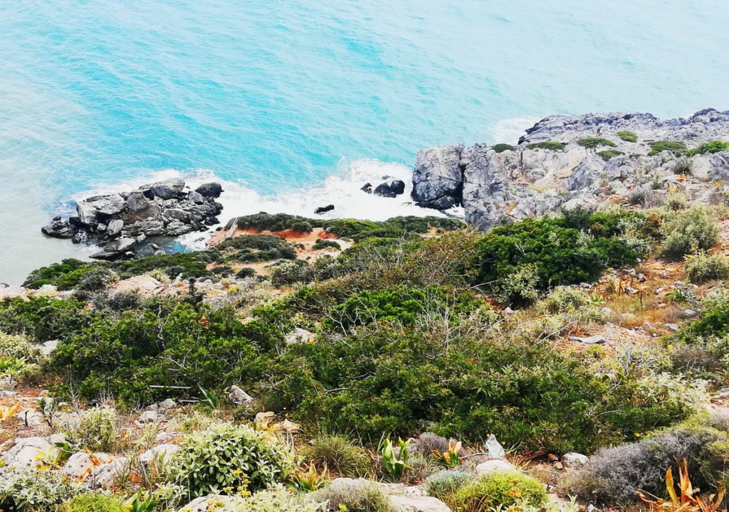 Waves splash rocky shores along gorgeous coastal routes