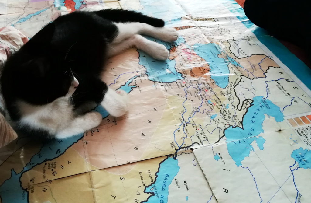 A cat reclines on a map of the Ottoman Empire at its apex, in Mimar Sinan's Sehzade Mosque