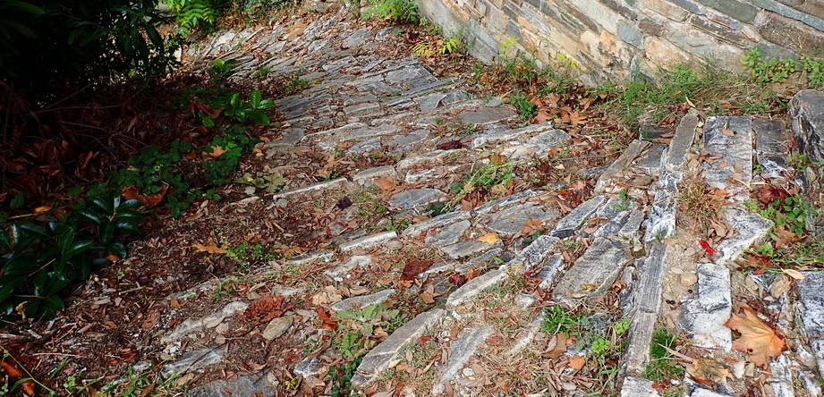 A stone staircase running through a rustic village in Northern Greece