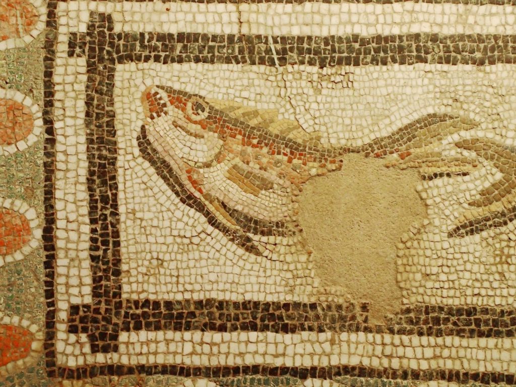 The Richness of Domestic Life: Displays in the Archaeological Museum of Thessaloniki