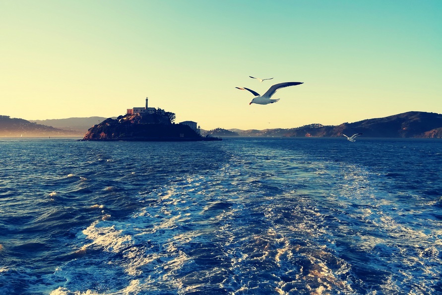 5 Days in San Francisco - Alcatraz Island from the Bay Cruise