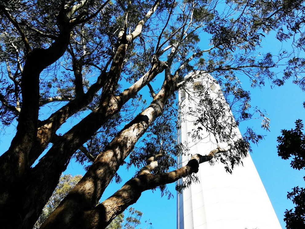 5 Days in San Francisco - Coit Tower