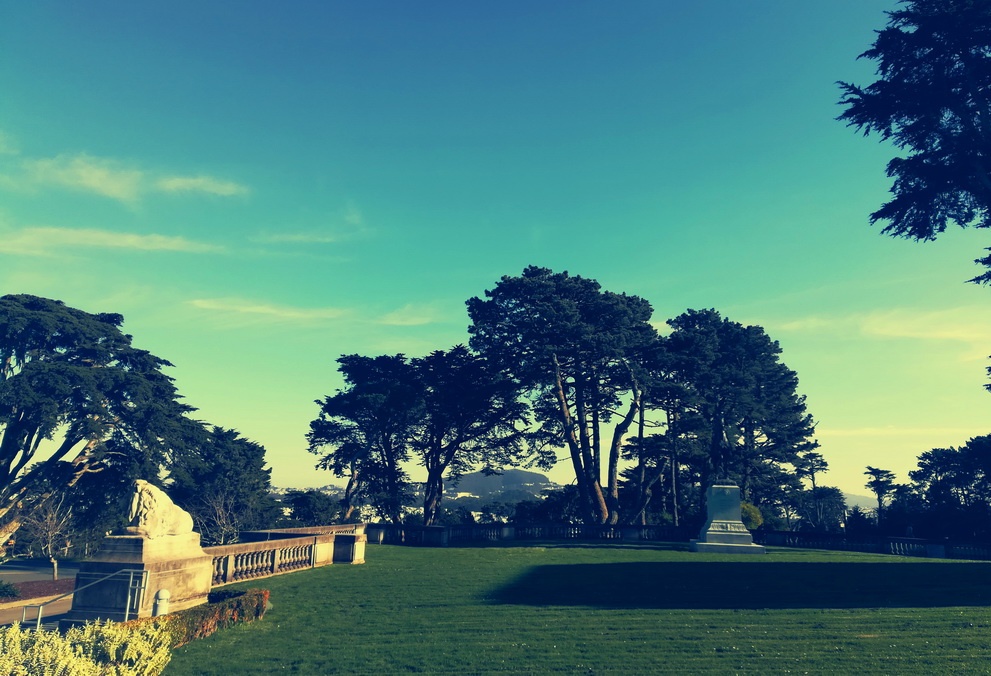 5 Days in San Francisco - The Lawn of the Palace of the Legion of Honor