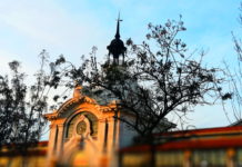 Time Out Market Lisbon - the Mercado da Ribeira