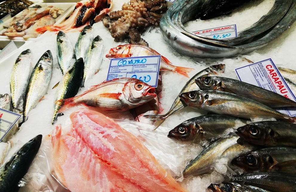 The Mercado da Ribeira - fresh fish