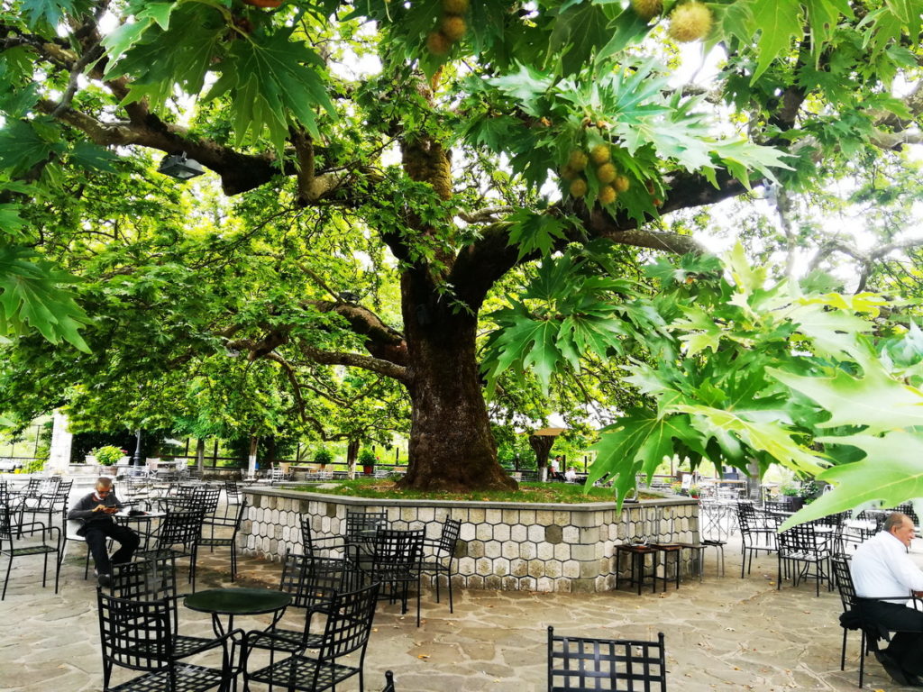 The idyllic shady square of Pramanta, Tzoumerka on a summer afternoon