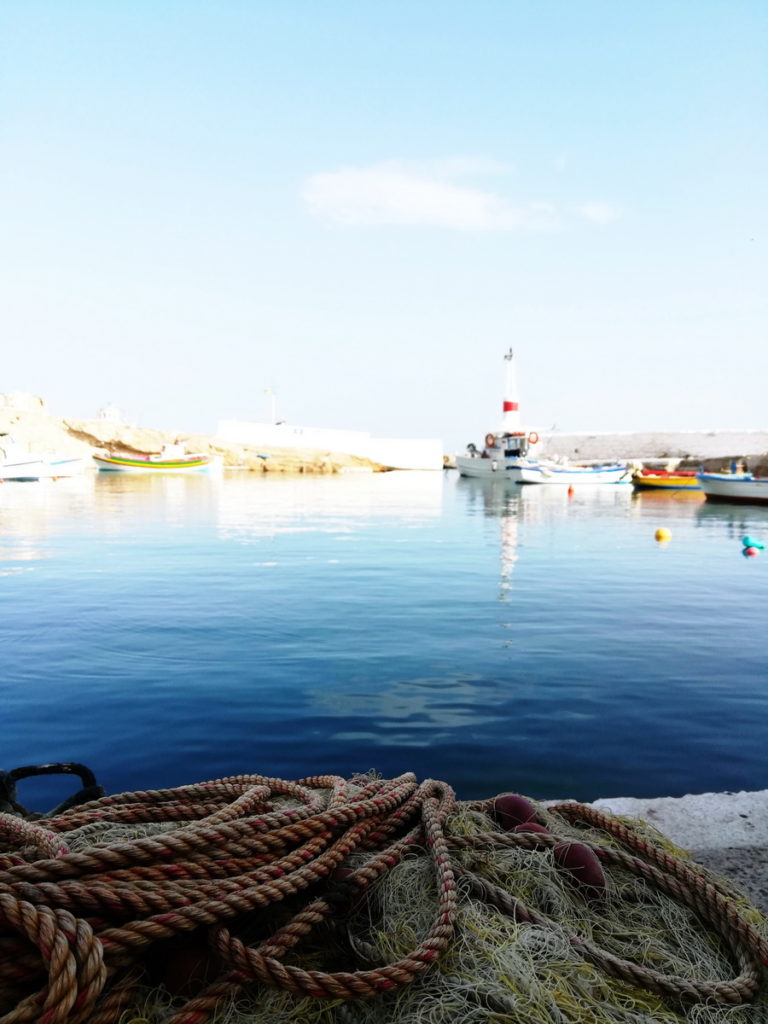 Boukas Harbor, Fri