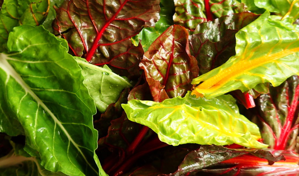 Colorful Swiss chard leaves for a tourte aux blettes