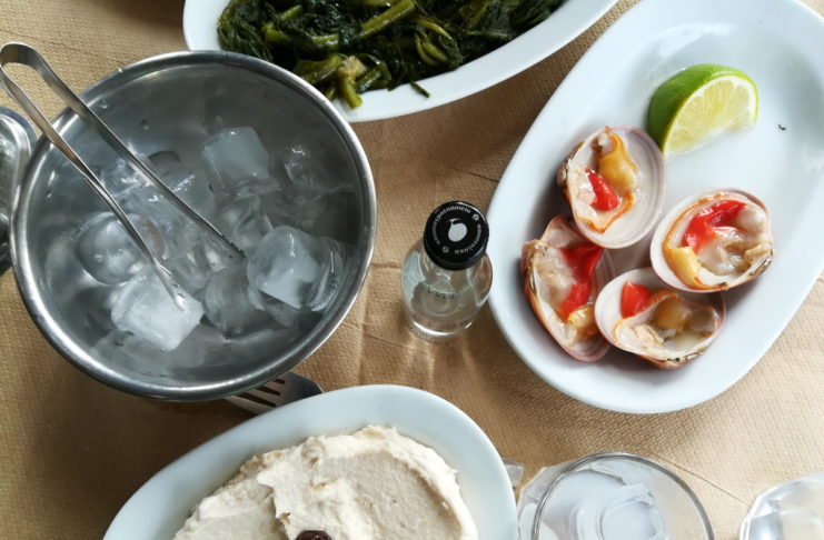 Tsipouro: The Traditional Greek Spirit - Provocolate