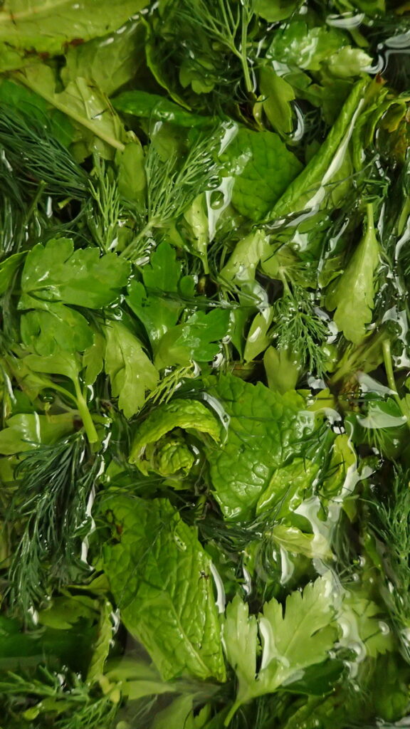 Fresh herbs - mint, parsley, and dill, soaking in water to clean for makig dolmadakia