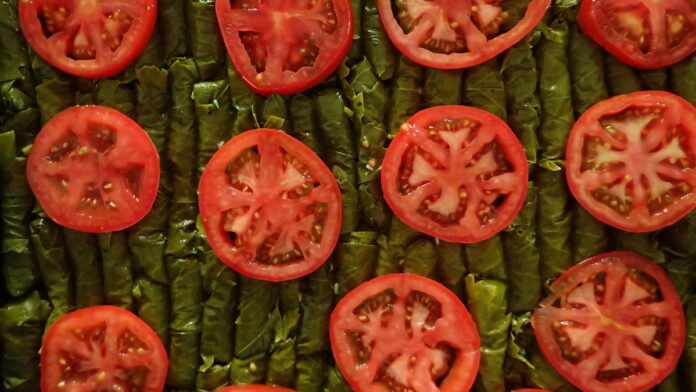 Dolmadiakia gialantzi