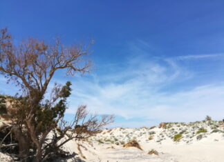 With its flora and great white sand dunes, Elafonissi Beach is one of the world famous Chania Beaches,