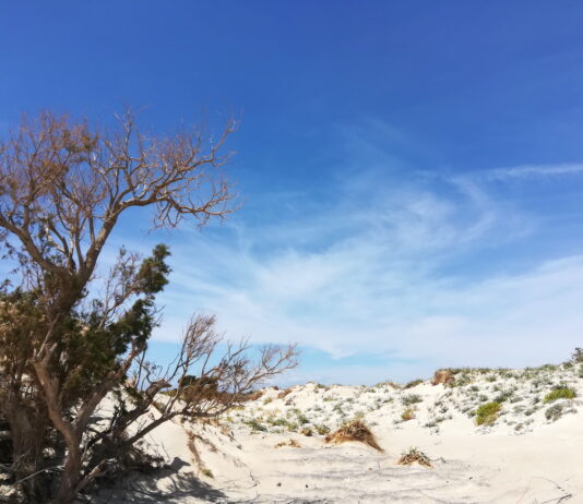 With its flora and great white sand dunes, Elafonissi Beach is one of the world famous Chania Beaches,