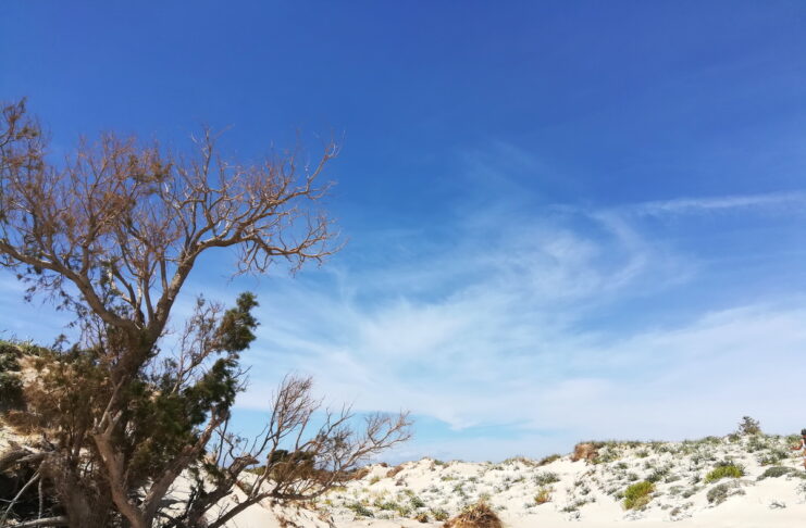 With its flora and great white sand dunes, Elafonissi Beach is one of the world famous Chania Beaches,