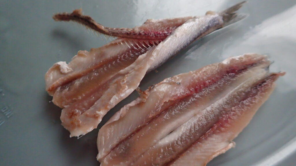 Removing the spine to butterfly the fresh anchovy for gavros marinatos